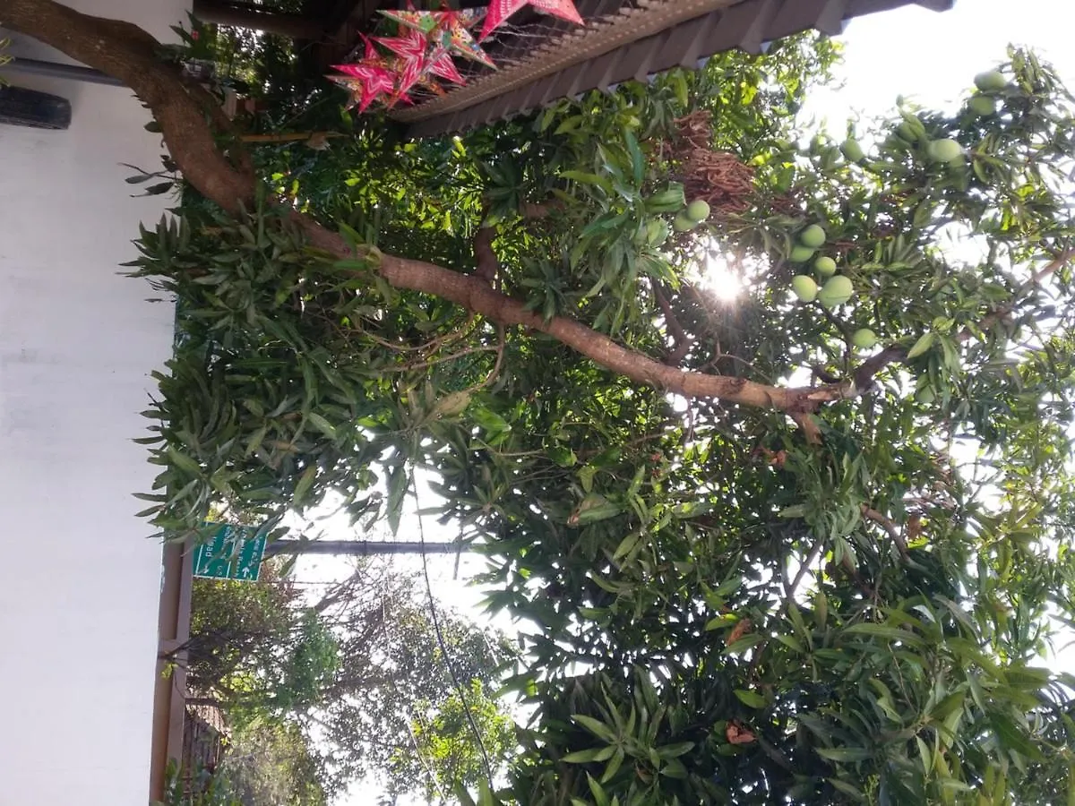 Resort Hotel Pulari Gardens Varkala Indien